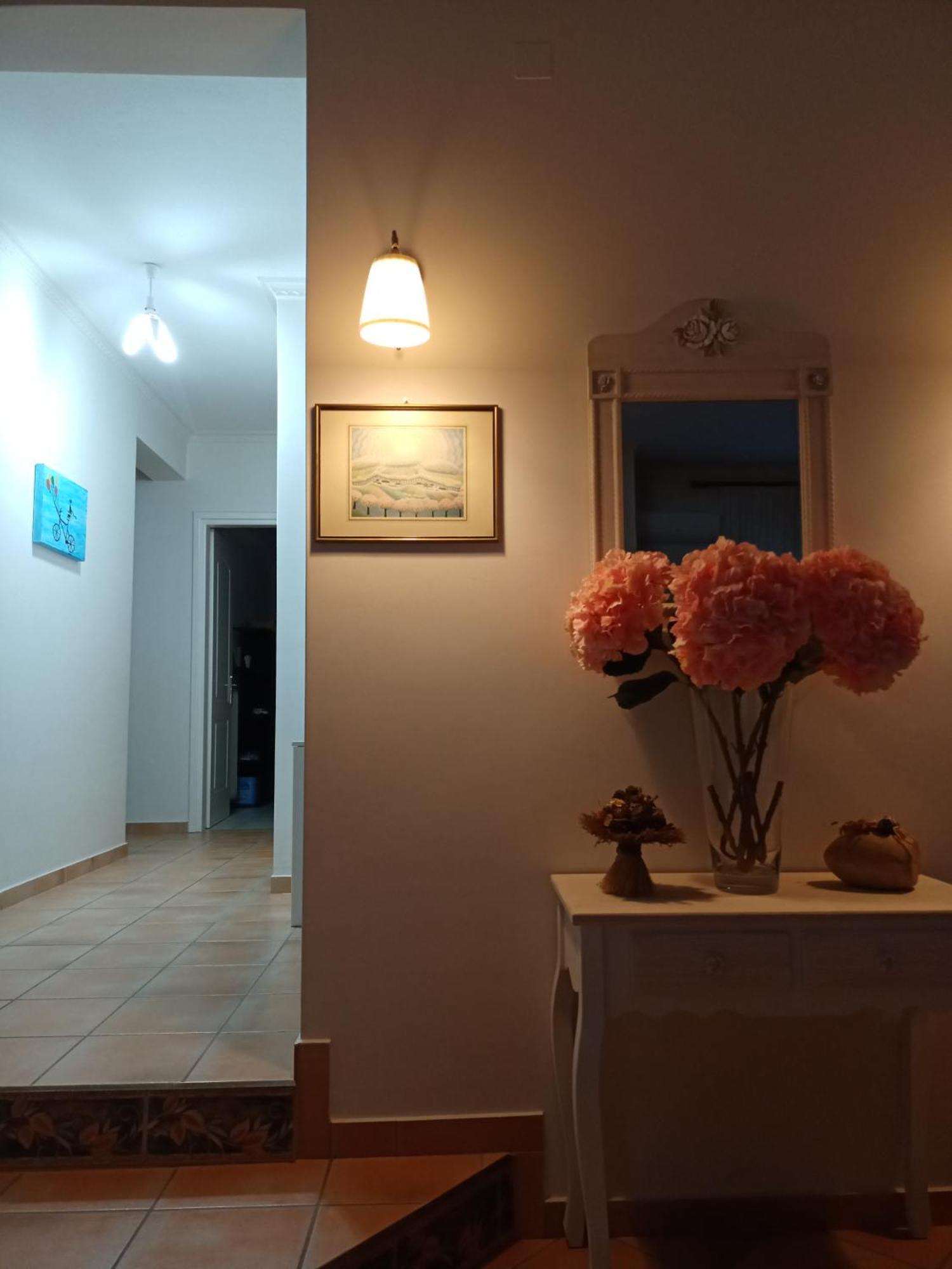 Zara'S Home Meteora-House Of The Rising Sun! Kalambaka Extérieur photo